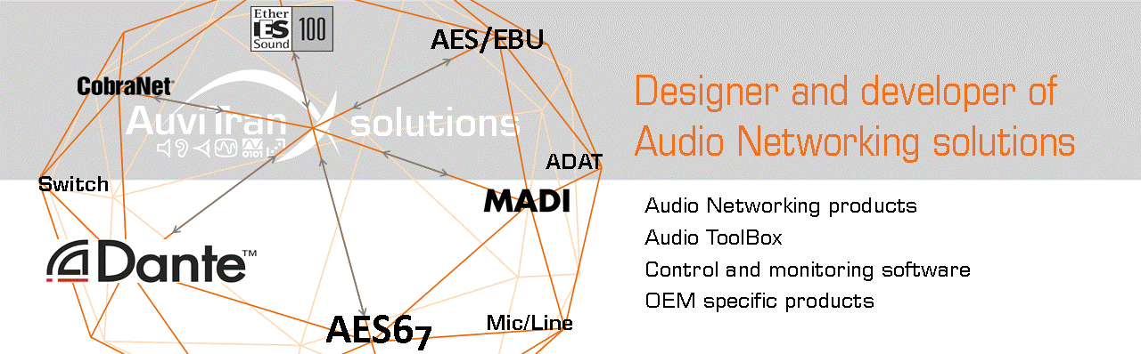 Professional Audio Network Solutions